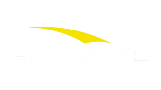 Palmiye Benelux logo